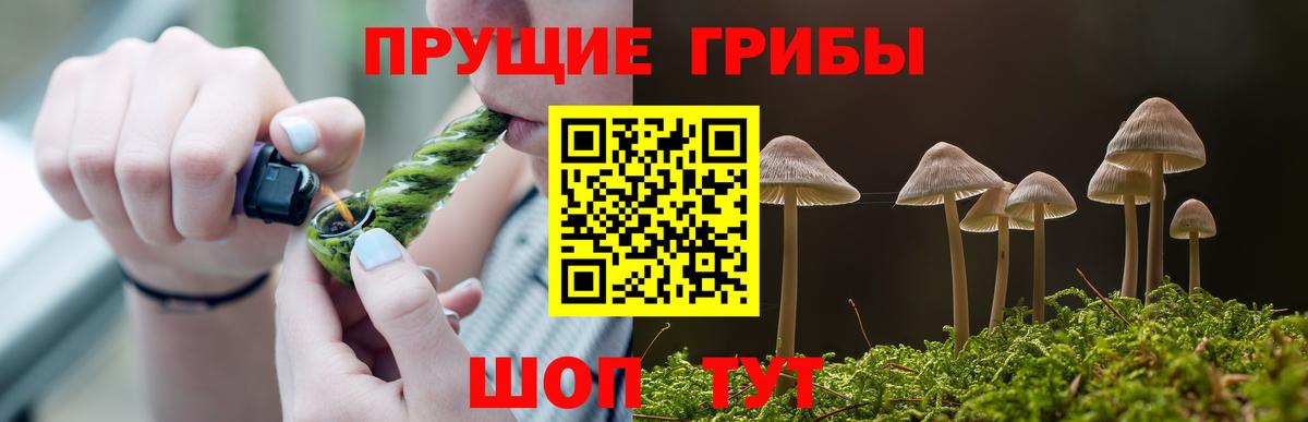 Псилоцибиновые грибы ЛСД Кимовск